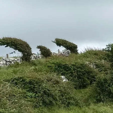 Дом отдыха Gorse
