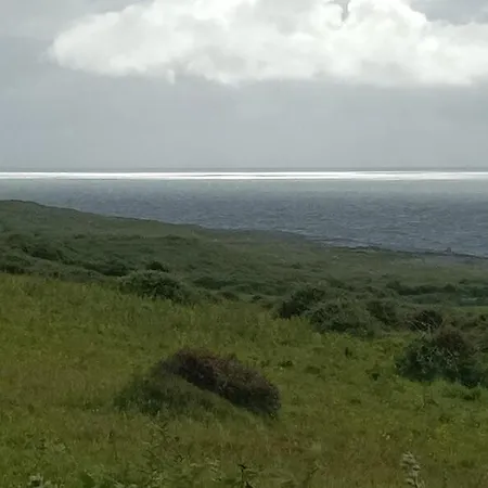 Gorse * Дулин